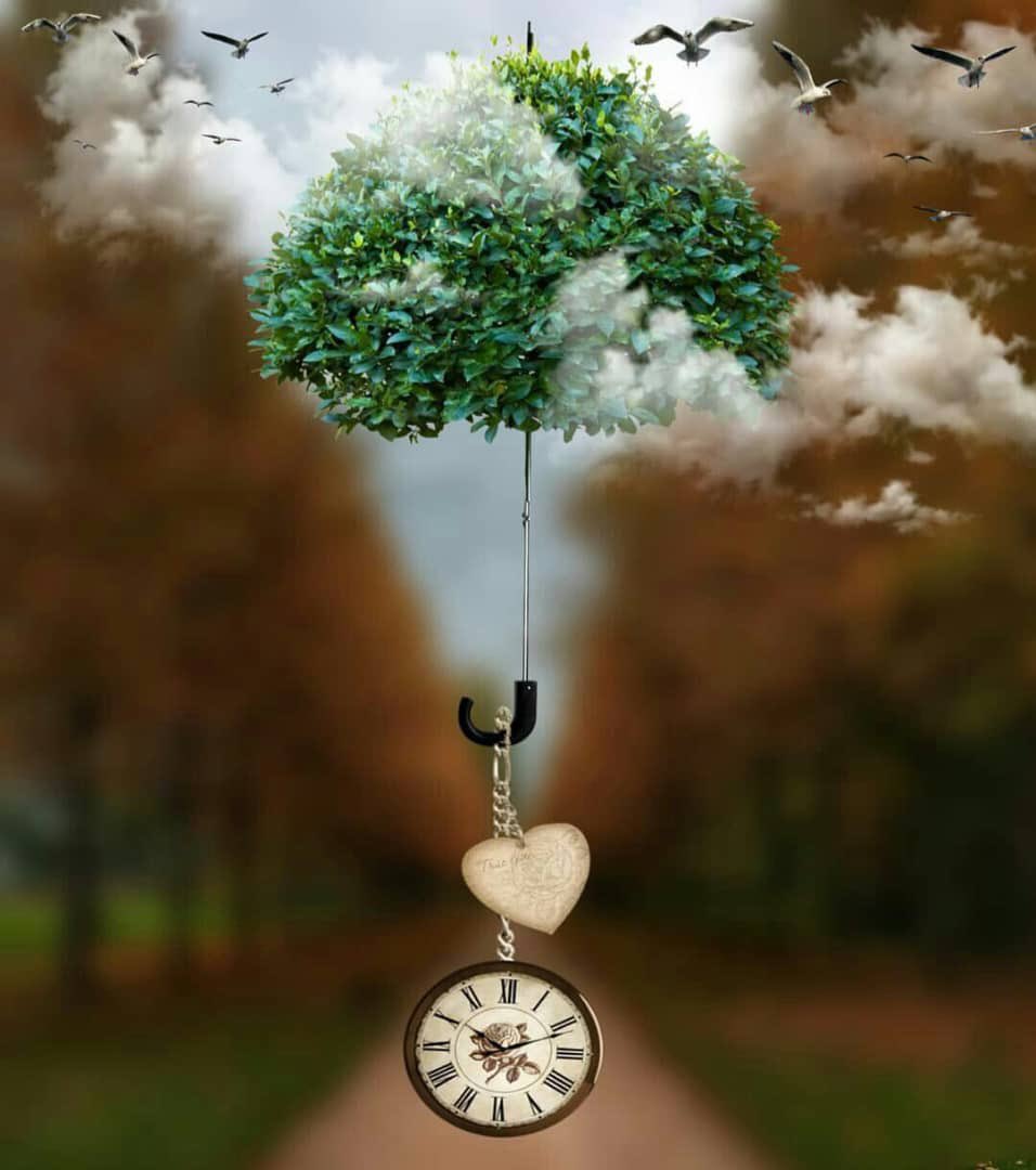 عداء مسافات الطويلة ⛰ tweet media