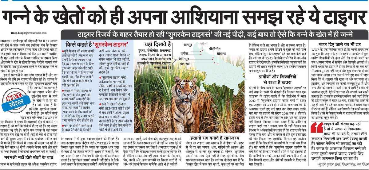 भूल गए जंगल की राह-
#NBT Lucknow, 22 Sept, 2024 <a href="/NBTLucknow/">NBT Lucknow</a> <a href="/NBTDilli/">NBT Dilli</a> <a href="/SudhirMisraNBT/">सुधीर मिश्र Sudhir Misra</a> <a href="/manishsNBT/">Manish srivastava</a> <a href="/nbtRanvijay/">Ranvijay Singh</a> <a href="/rishisengarNBT/">Rishi sengar</a>