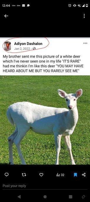 issaKmarie's tweet image. I'm #AntiRoll Ritual