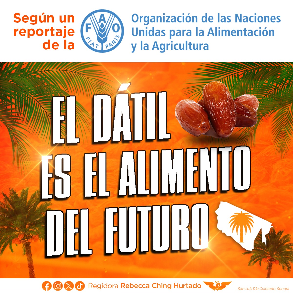 ¡EL DÁTIL ES EL ALIMENTO DEL FUTURO! 🌴

Este fruto que ha ido creciendo su producción en San Luis Río Colorado, es considerado por la <a href="/FAO/">Food and Agriculture Organization</a> como uno de los alimentos del futuro 😮 lo que sin duda pone en ventaja a nuestro municipio. 

Las razones para que los dátiles sean muy