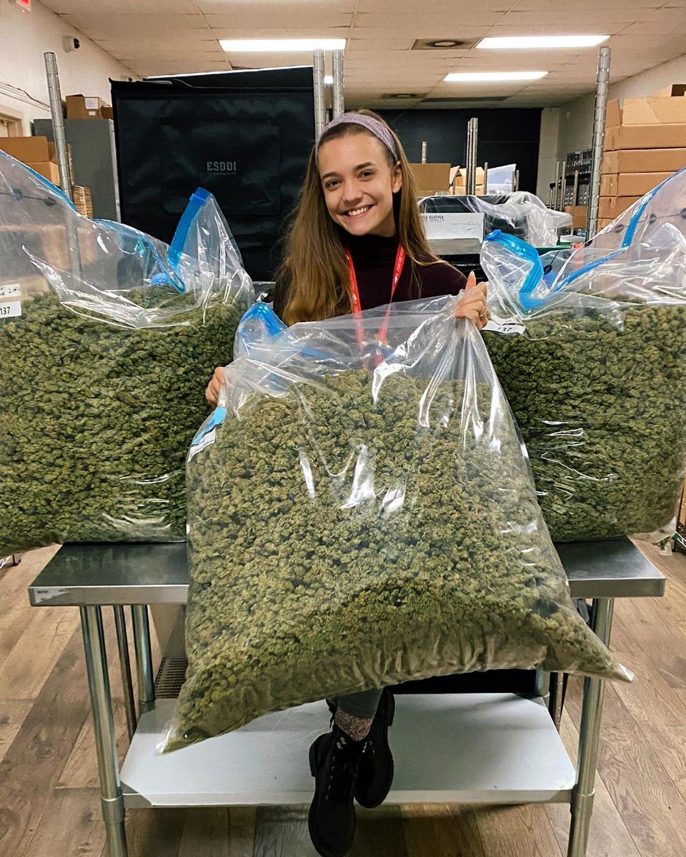 In the storage room. 

This room needs to maintained at certain temperature and humidity to maintain quality.

📸beccablaze710 

#maryjane #indica #sativa #weed #marijuana #growyourown