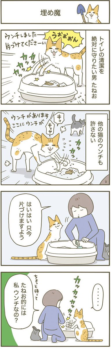 飼い主埋めたい猫