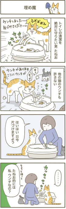 飼い主埋めたい猫