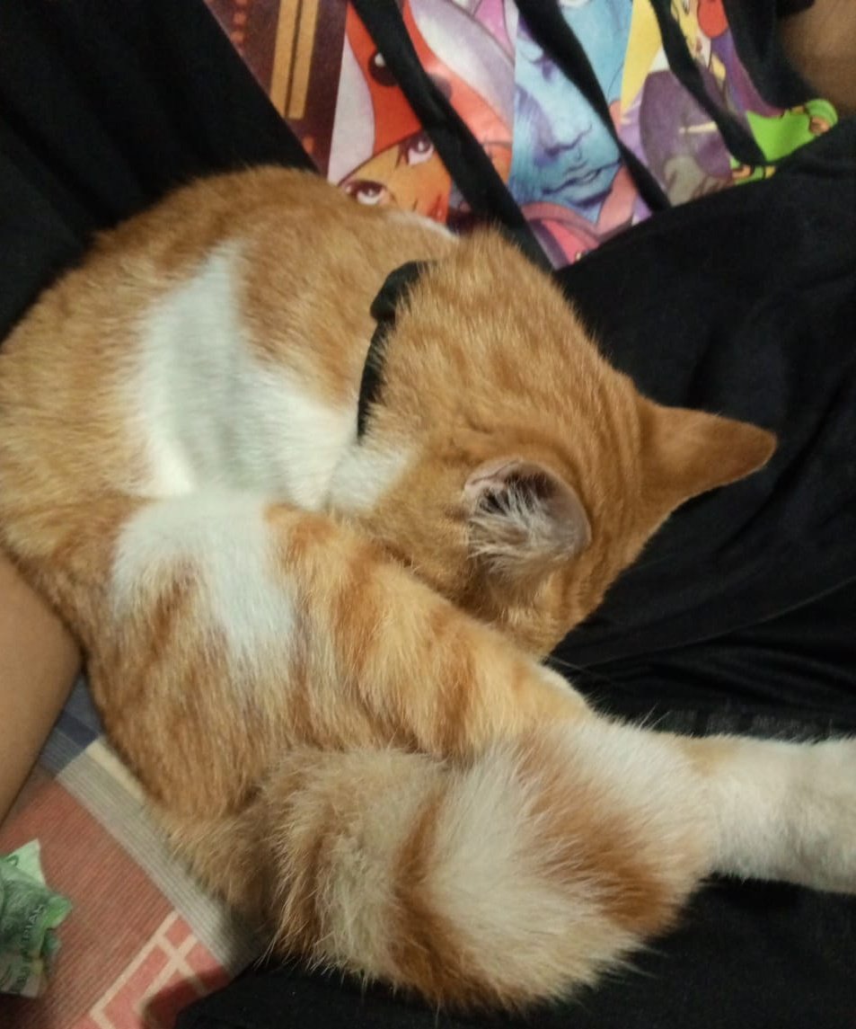 udh tau panas ya, malah mepet mepet