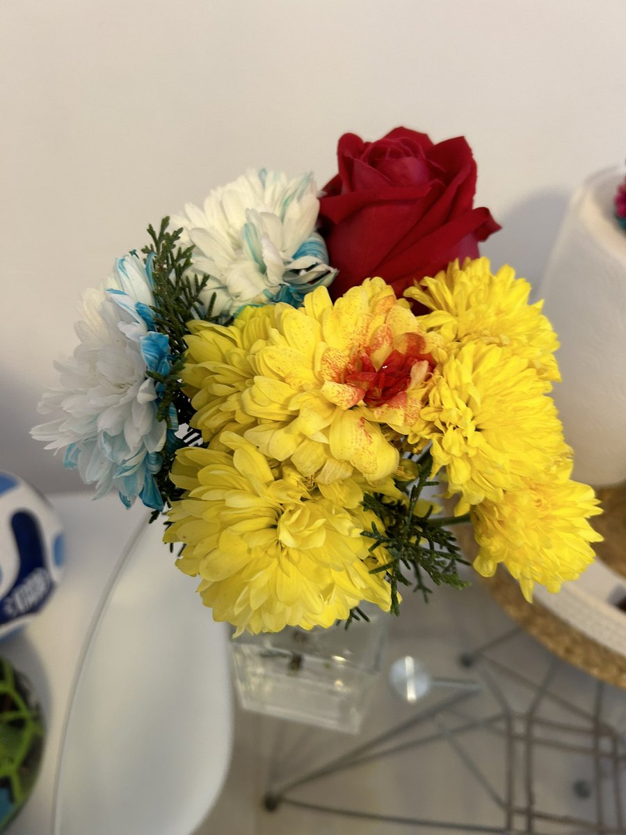 FlorPaladini25's tweet photo. @saturninsta Tuve mis flores amarillas , al fin protagonista y no espectadora 🥹✊🏻🌼 https://t.co/bEZ7cp61qr
