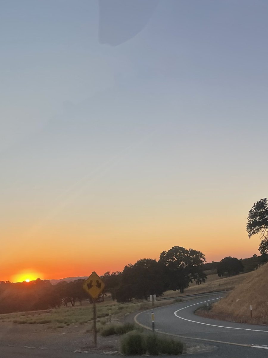 Sheri Lynn tweet media