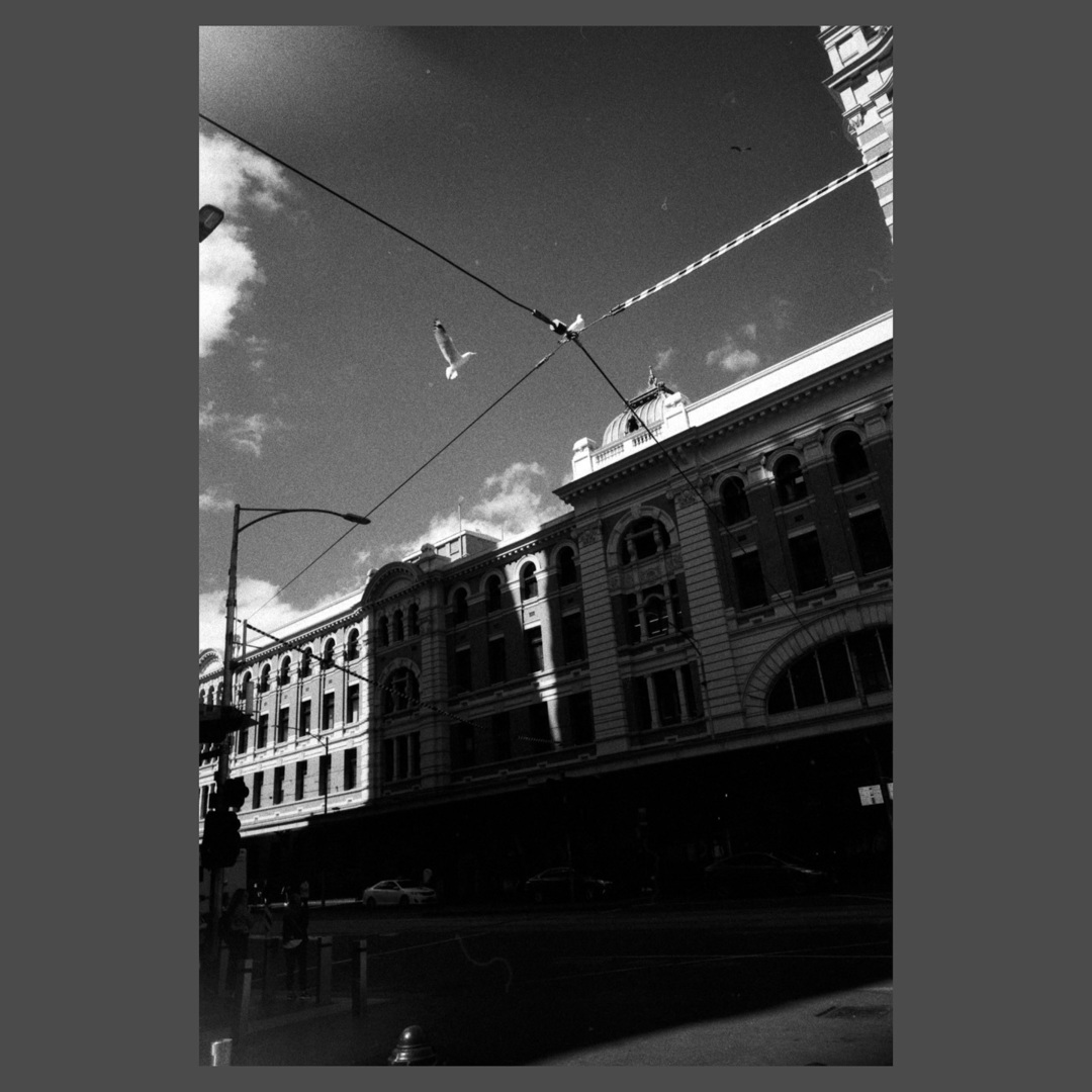jmibanez's tweet image. Melbourne — March 2024

#streetphotography #canonp #rangefinder #35mm #35mmfilm #ilfordhp5plus #ilfordhp5 #hp5plus1600 #filmisnotdead
#staybrokeshootfilm
#restorefrombackup
#streetphotographymnl instagr.am/p/DANVbLiyEWK/