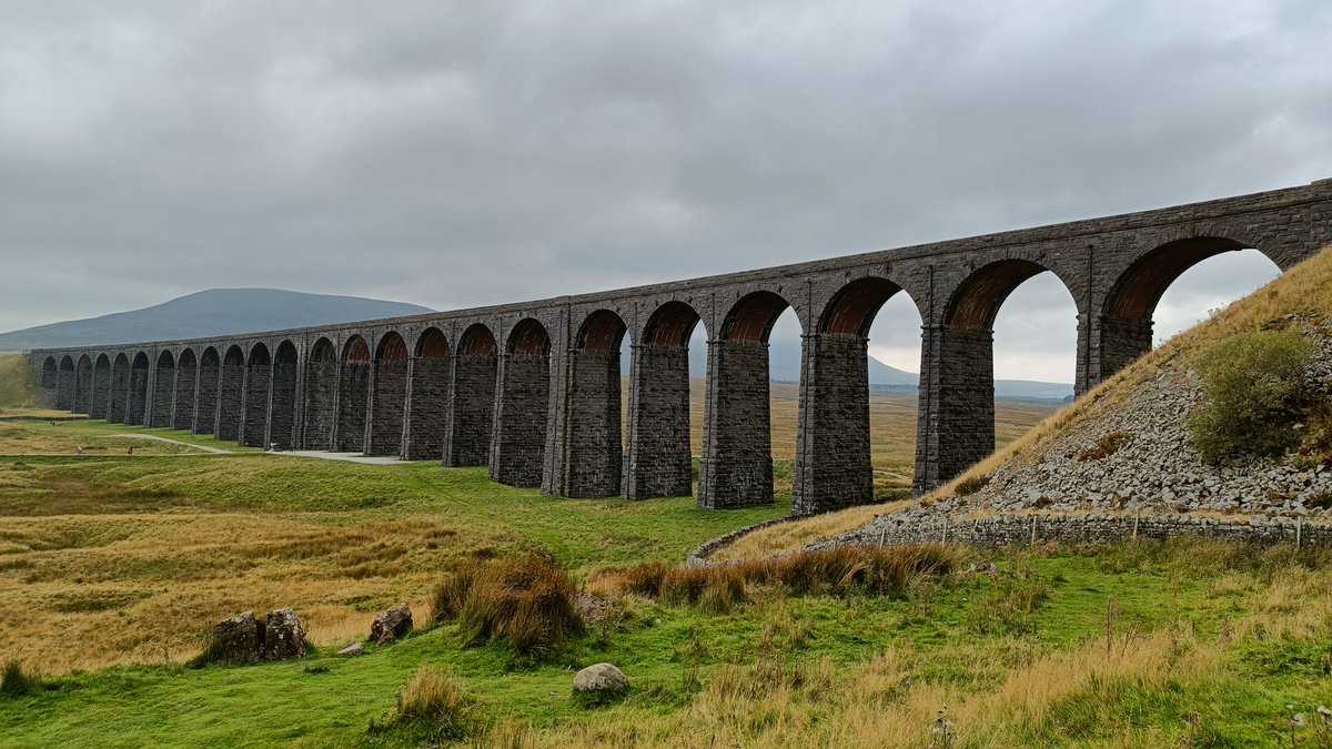 Will Taylor tweet media