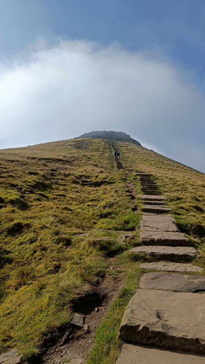 Will Taylor tweet media