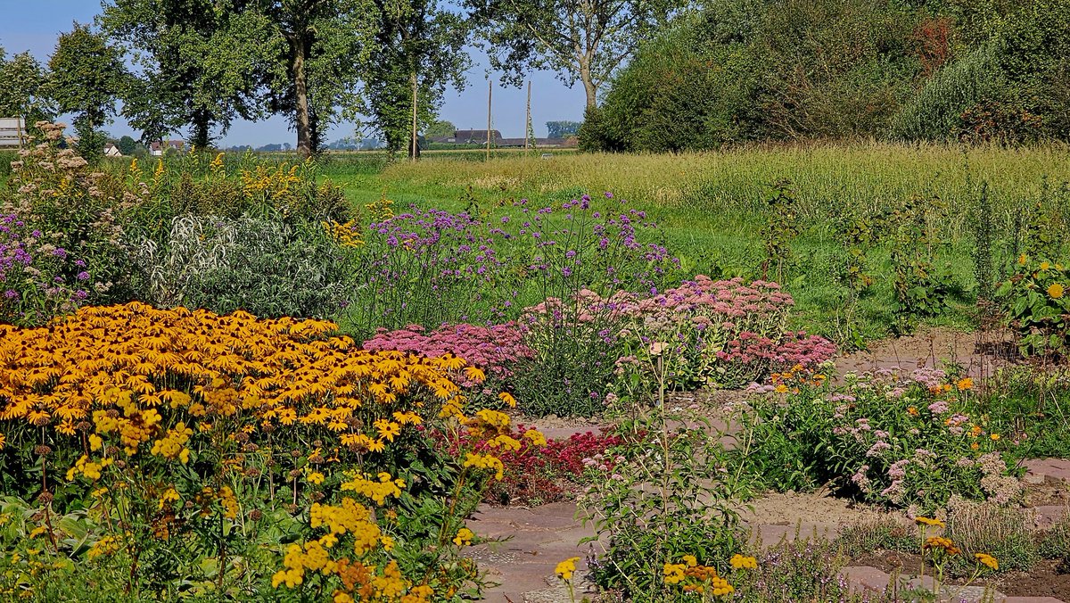 DuylsBos's tweet photo. De bijen- en #vlindertuin ligt er nog schitterend bij, kom je kijken op de (volgens het weerbericht) laatste #zomersedag? Er vliegen nog tientallen vlinders rond, dus ga even op je gemakje zitten genieten 🌸🦋🌼🌿
#bloemen #fleurig #genieten #september #indenatuur #inhetzonnetje https://t.co/QQQmJFv2gt