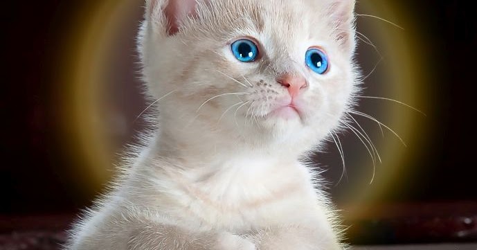 Esperanta Retradio tweet media