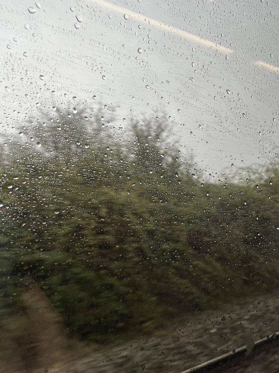 Gail Jackson🎗️ (@_gailjackson) on Twitter photo Let’s hope the sun is shining in Liverpool! Finally on my way to #LabourConference2024 to help raise greater awareness #KidsGetCancerToo - looking forward to seeing colleagues <a href="/YLvsCancer/">Young Lives vs Cancer</a> <a href="/TeenageCancer/">Teenage Cancer Trust</a> <a href="/BrainTumourOrg/">The Brain Tumour Charity</a> and supporting our shared calls to action <a href="/SKC_UK/">Solving Kids' Cancer UK 🎗</a> Let’s hope the sun is shining in Liverpool! Finally on my way to #LabourConference2024 to help raise greater awareness #KidsGetCancerToo - looking forward to seeing colleagues <a href="/YLvsCancer/">Young Lives vs Cancer</a> <a href="/TeenageCancer/">Teenage Cancer Trust</a> <a href="/BrainTumourOrg/">The Brain Tumour Charity</a> and supporting our shared calls to action <a href="/SKC_UK/">Solving Kids' Cancer UK 🎗</a>