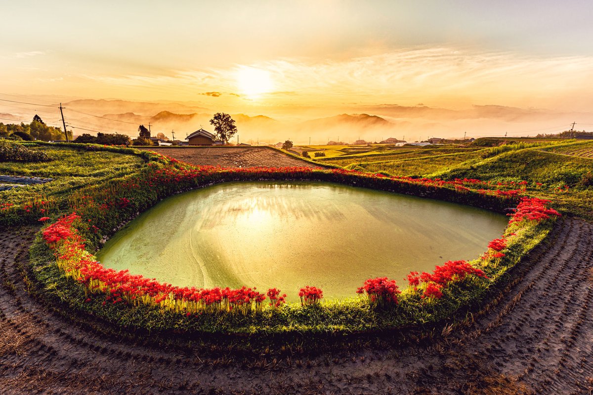 اليابان بالعربي 🇯🇵 tweet media