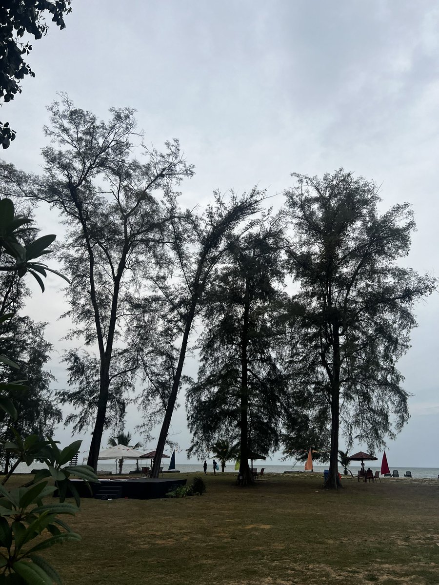 jua_hassim's tweet photo. My sea of happiness. https://t.co/EG3nSyeWE3