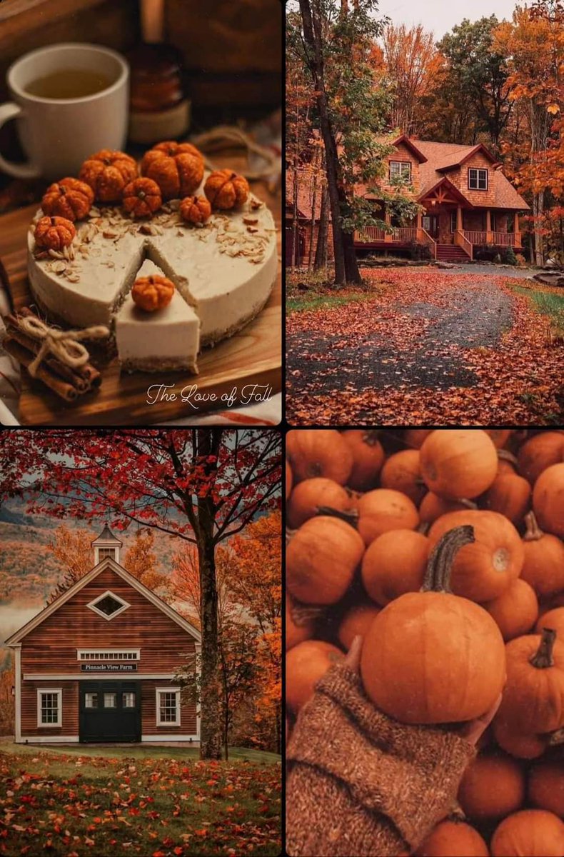 visualtherapy0's tweet image. Hello Autumn 🍂🎃