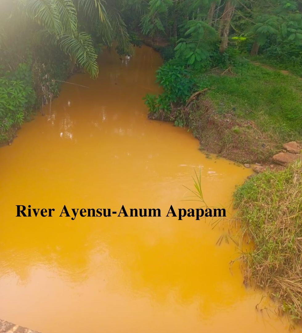 ndfwestafrica's tweet photo. #StopGalamseyNow
#WeNeedCleanRivers
#SaveRiversToday for #WaterTomorrow

@darylbosu  @arochaghana @ndfwestafrica @MBawumia @Rivers_of_world @NAkufoAddo 
@UNDPGhana @EuropeInGhana @UNHumanRights 
@WACAM_ghana @TropenbosGhana @ecocareghana https://t.co/T5BJ6CLadQ