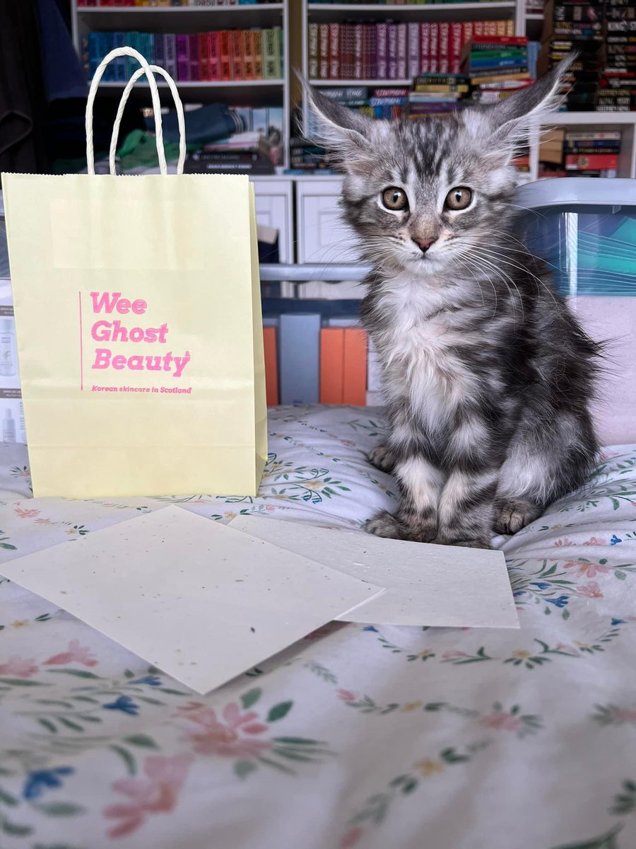 A wee plea for you to check out my wife’s new Korean skincare shop. 
Based in Scotland and delivers all over the UK, if you know anyone into their skincare please let them know and share this post to help 💗 much appreciated!
weeghostbeauty.com