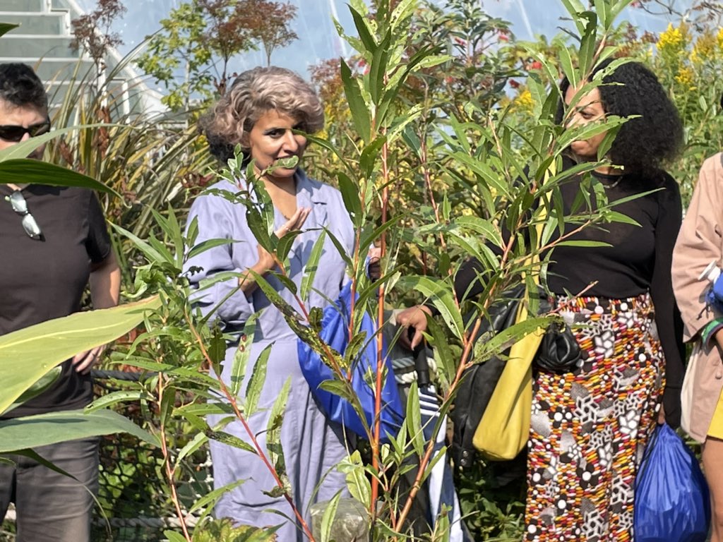 _ArtReach's tweet image. Yesterday @EdenProject we heard the sounds of the water with Kaajal Modi, and the sounds from the Galool Tree of Somali women’s weaving songs and storytelling traditions with @DhaqanC see both artists at #JourneysFestival2024 #LetsCreate @CounterArts @ace_national