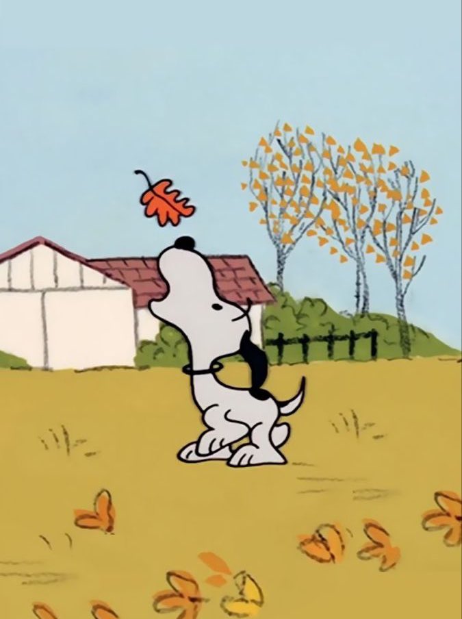 snoomfies's tweet image. Happy first day of fall snoomfies!