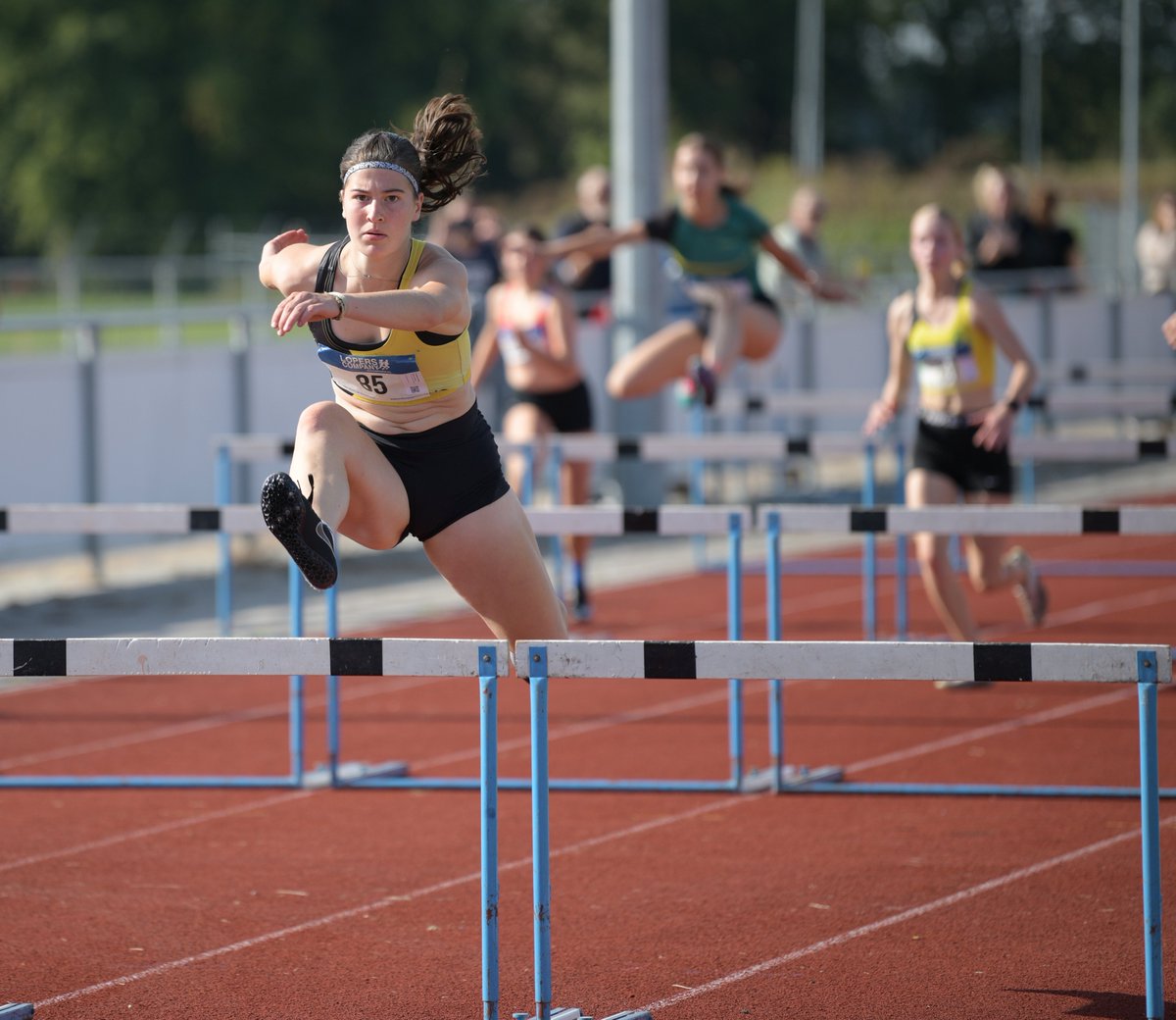 SPRINT Breda tweet media