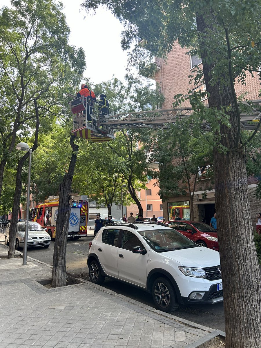 Cuando no se cuidan los árboles, pasa lo que pasa <a href="/AlmeidaPP_/">José Luis Martínez-Almeida</a> . Calle Pizarra con Virgen del Puerto. Poco ha pasado, “solo” un coche dañado. <a href="/MadridDecadente/">MADRID DECADENTE</a> <a href="/MasMadridCiudad/">Más Madrid Ciudad</a>  <a href="/PSOEMadridAyto/">PSOE en Ayto Madrid</a>