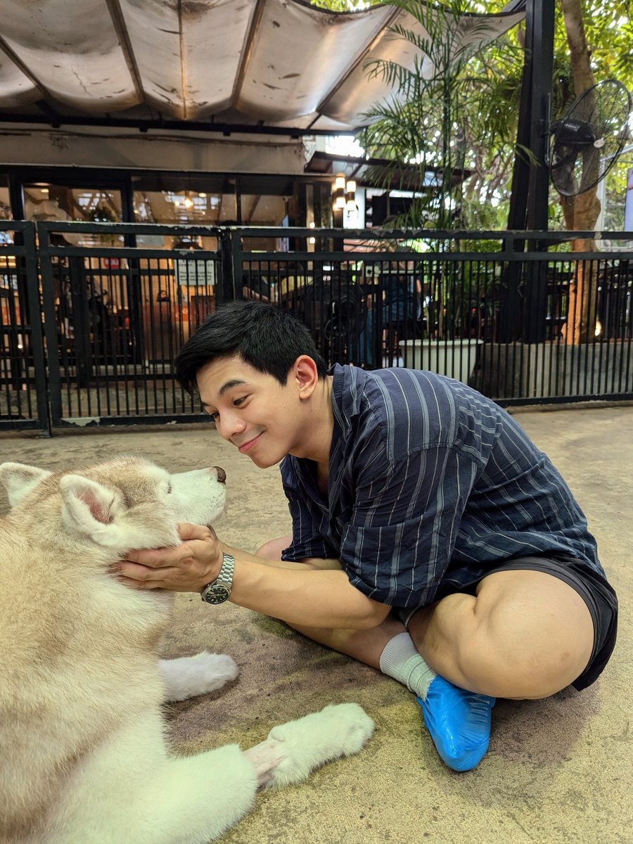 PotchieGum's tweet photo. 🐶🐶🐶 https://t.co/IrHXs3NgJG