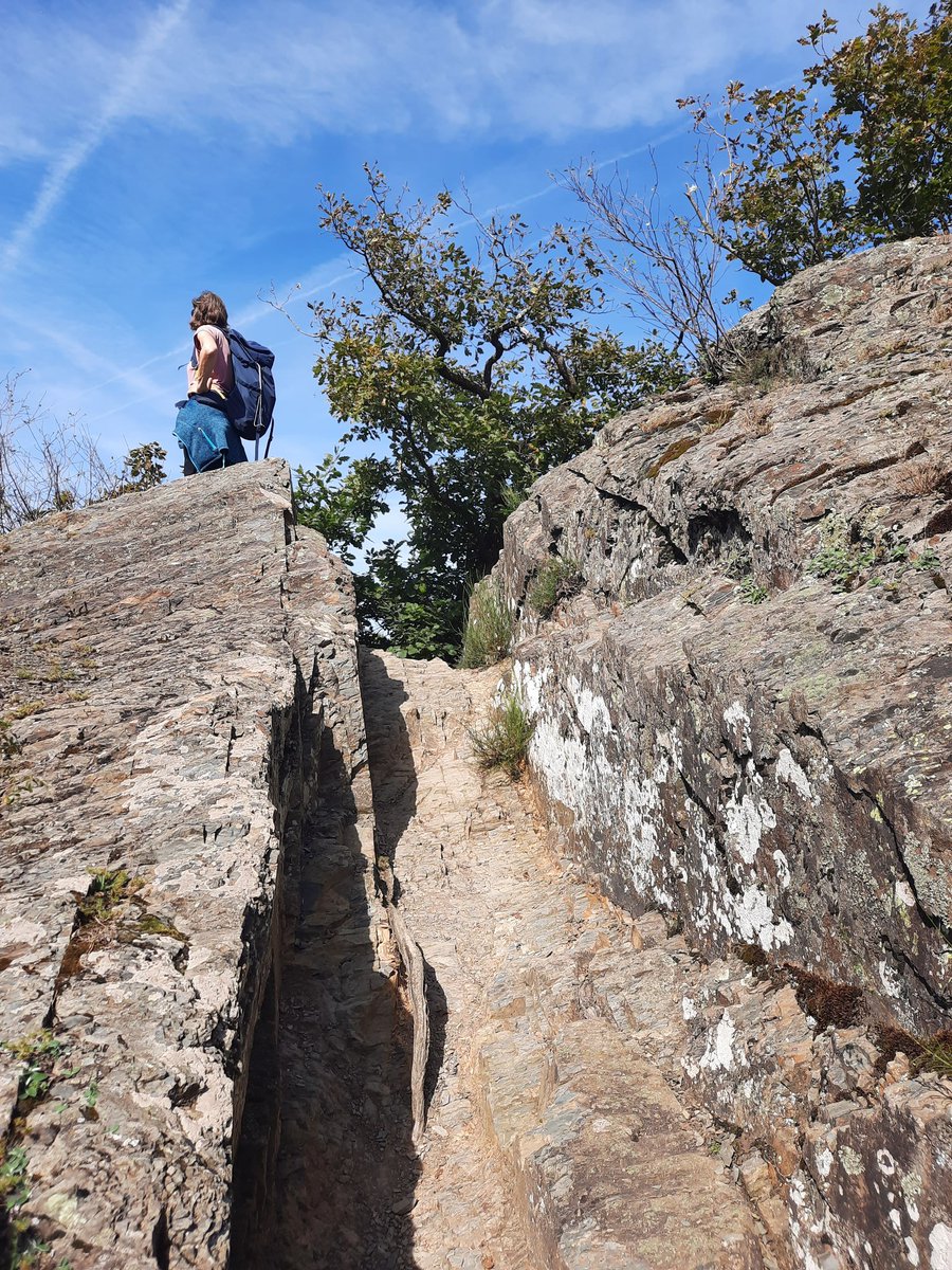 wetterkoess's tweet image. Den letzten Spätsommertag an der #Ahr zum wandern nutzen, wo von oben die Welt drei Jahre nach der Flut wieder in Ordnung aussieht (unten aber oft noch nicht!)
#Altenahr