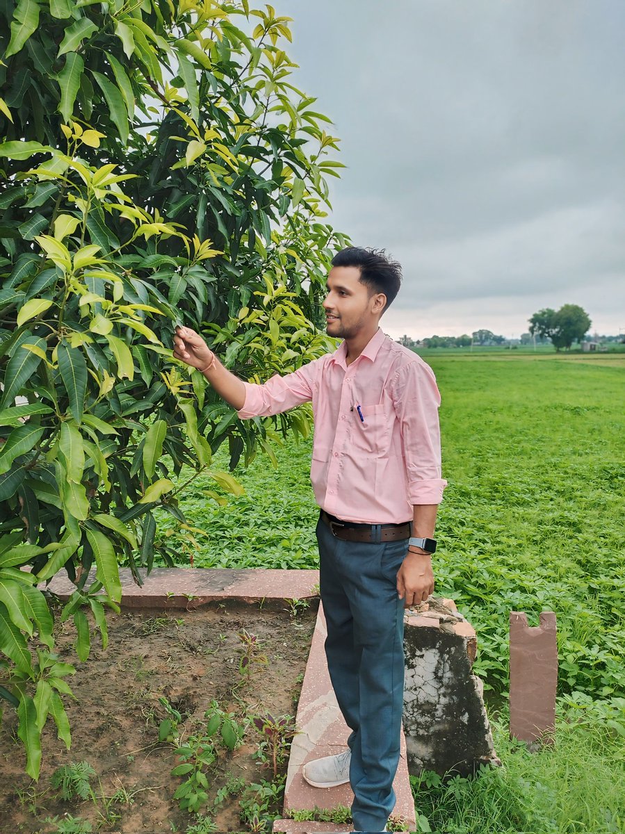 Devendrameena025 tweet media