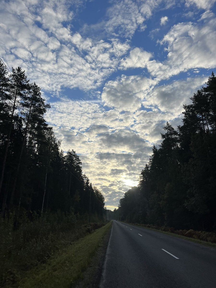 maarinja's tweet image. Manai #QueenB šodien 8 gadi, ko atzīmēju ar dikti skaistu un klusu 8k rīta skrējienu 🤍