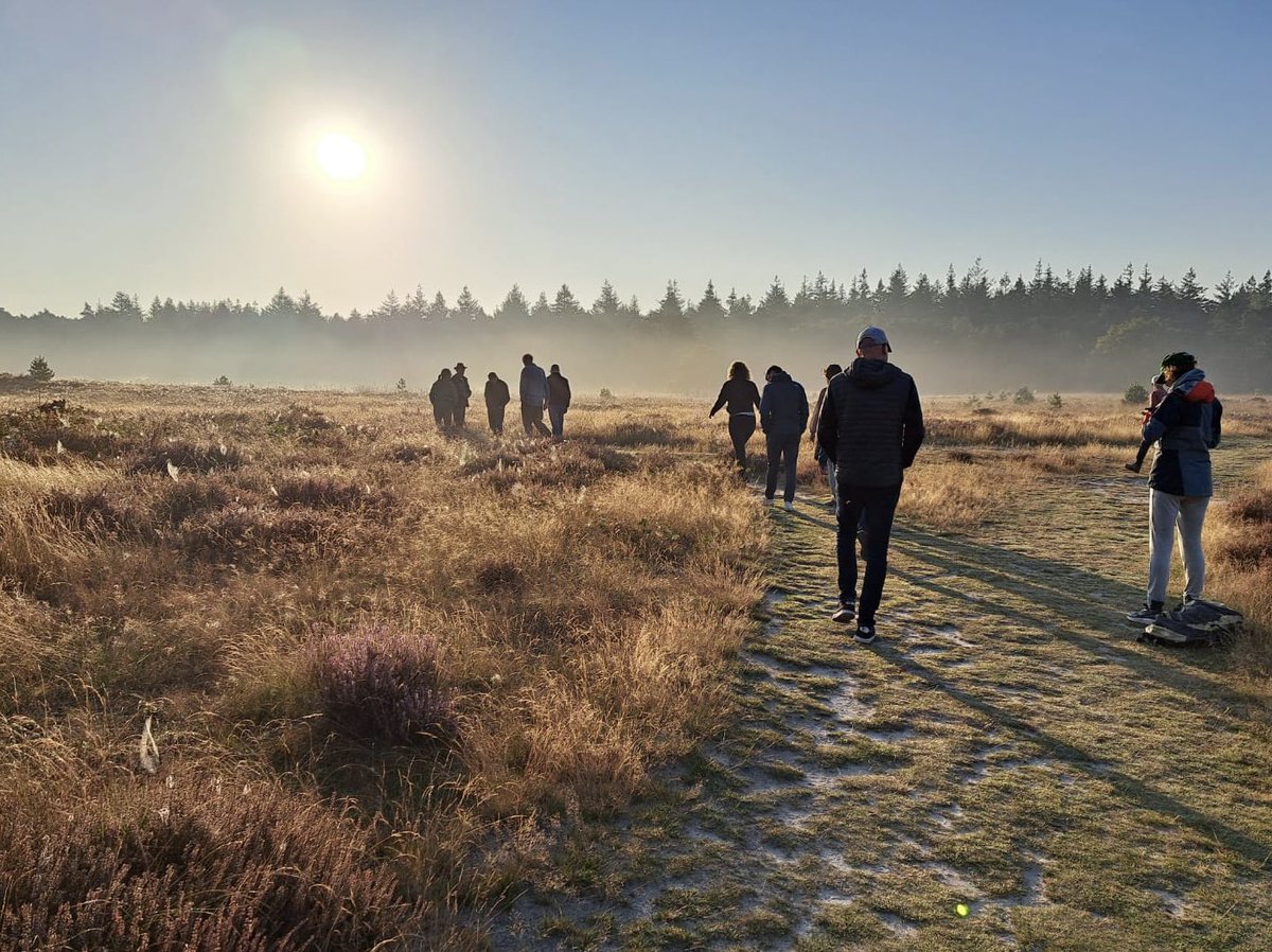 Mado Ruijs🦋 tweet media