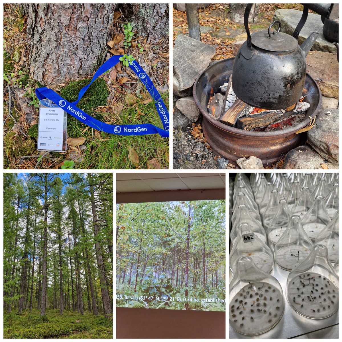 NortGen metsäkonferenssi tuo yhteen pohjoismaiset siemen- ja taimituotantoon liittyvät tutkijat, jalostajat ja intohimoiset metsien hoitajat.Tänä vuonna järjestelyvuorossa oli Suomi ja Rovaniemi 18-19.9.Tällaiset päivät ovat inspiroivia ja verkostoutumisen kannalta välttämättömiä