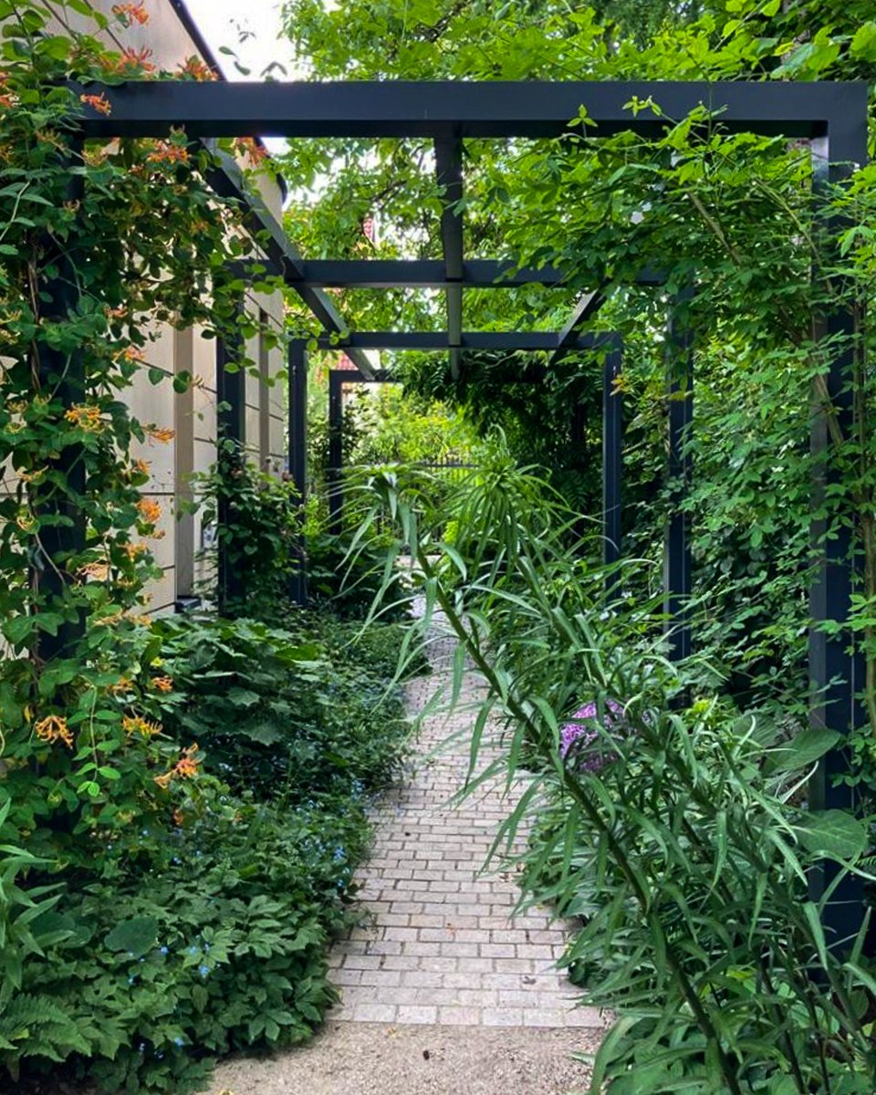 AnnMariePowell's tweet photo. Day 22 of #Summerscapes: Danuta's garden in Warsaw, Poland. Gardens have the power to connect people across cultures and climates don't they? Despite the distance & language differences, our shared passion for plants created an easy rapport with our wonderful client Danuta. https://t.co/G4MfvDRtsD