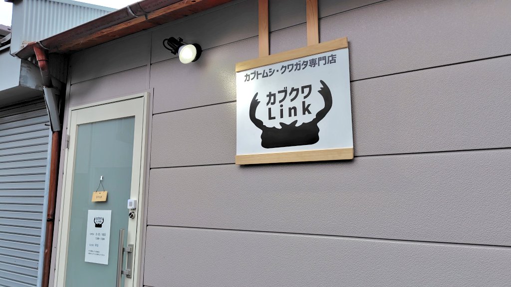 カブクワLink (tell090-5053-8896) (@kabukuwaLink) / Posts / X