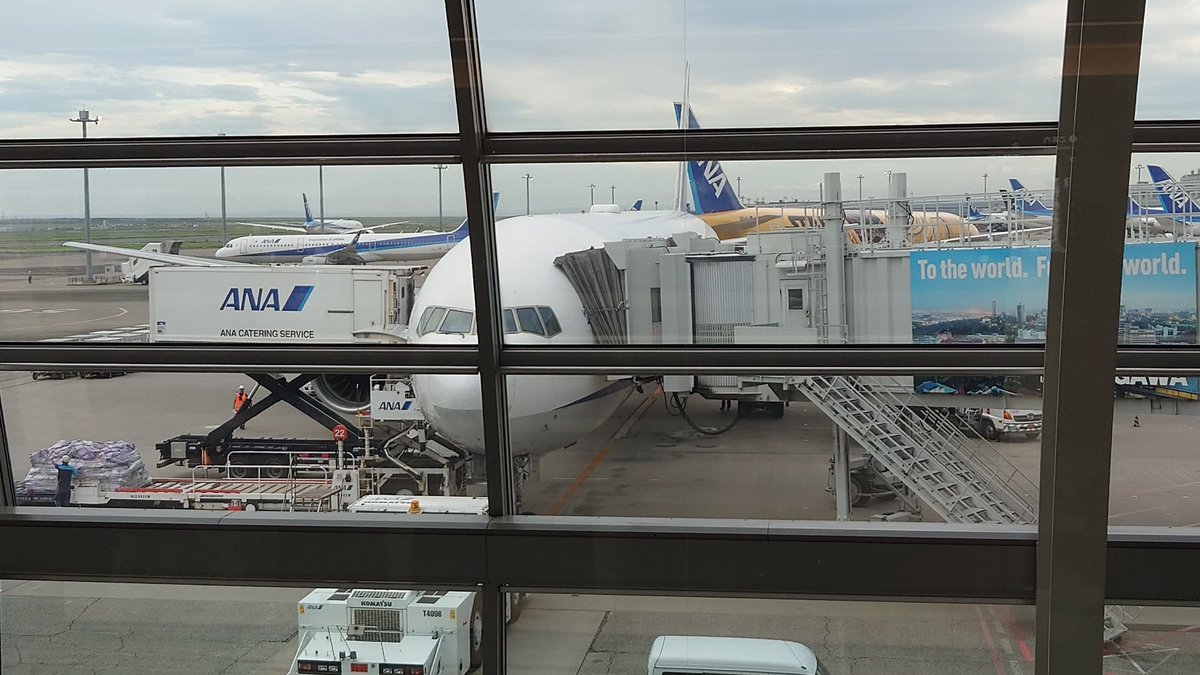 y8wE7AYZiB1cfGC's tweet photo. 羽田上空強風のため
軒並み遅延が発生
私の帰り便も遅れます
往きと同じく
帰りも揺れそう(汗)
#羽田空港
#使用機材遅れ
#遅延発生
#相談支援専門員
#ANA
#NH1095 https://t.co/ZgXUgujDCh