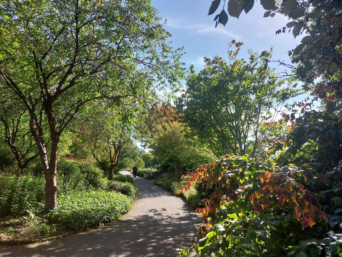 RHS_Rosemoor's tweet image. 🍃 It's the equinox today so the Earth's tilt makes the sun shine directly on the equator, making day and night nearly equal. This marks the official start of autumn - come visit to admire nature's artwork as the colours shift from green to gold 🍂

#visitdevon #visitexeter