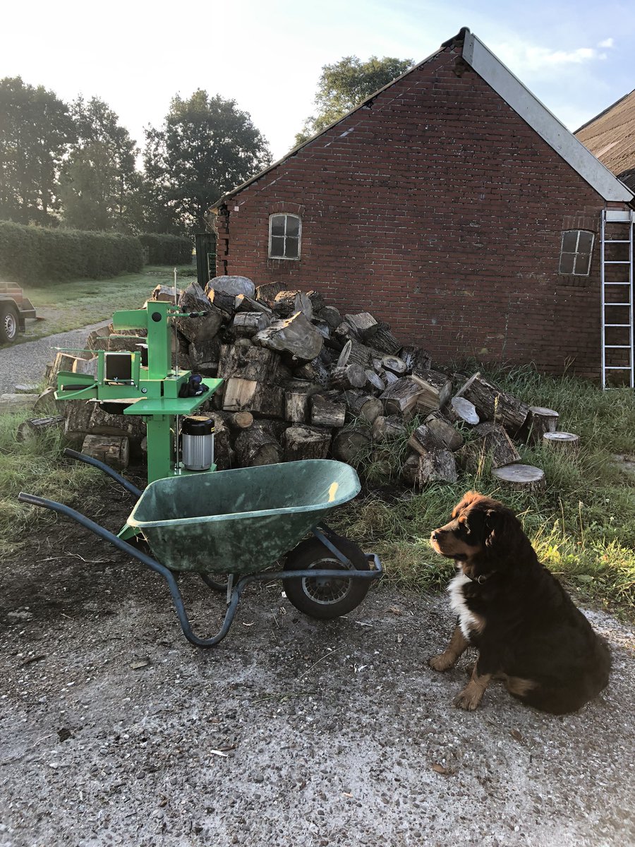 Dagje houtkloven.. #lekkerbezig #zonnig #iederedagbbbeter