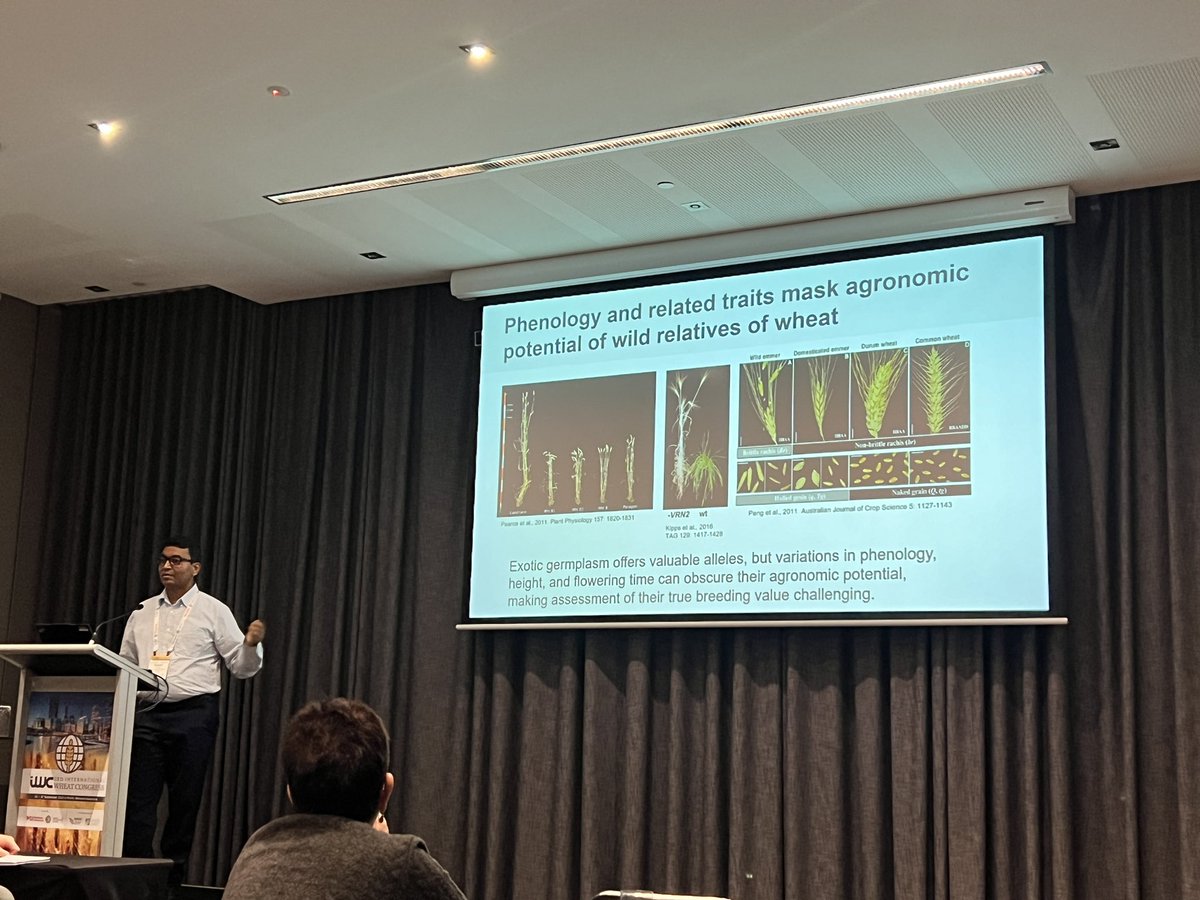 Surbhi Grewal (@surbhig6) on Twitter photo Gene editing for de novo domestication of wild relatives. Great talk by <a href="/SateeshKagale/">Sateesh Kagale</a> from <a href="/NRC_CNRC/">NRC Canada</a>. #IWC2024Perth Gene editing for de novo domestication of wild relatives. Great talk by <a href="/SateeshKagale/">Sateesh Kagale</a> from <a href="/NRC_CNRC/">NRC Canada</a>. #IWC2024Perth
