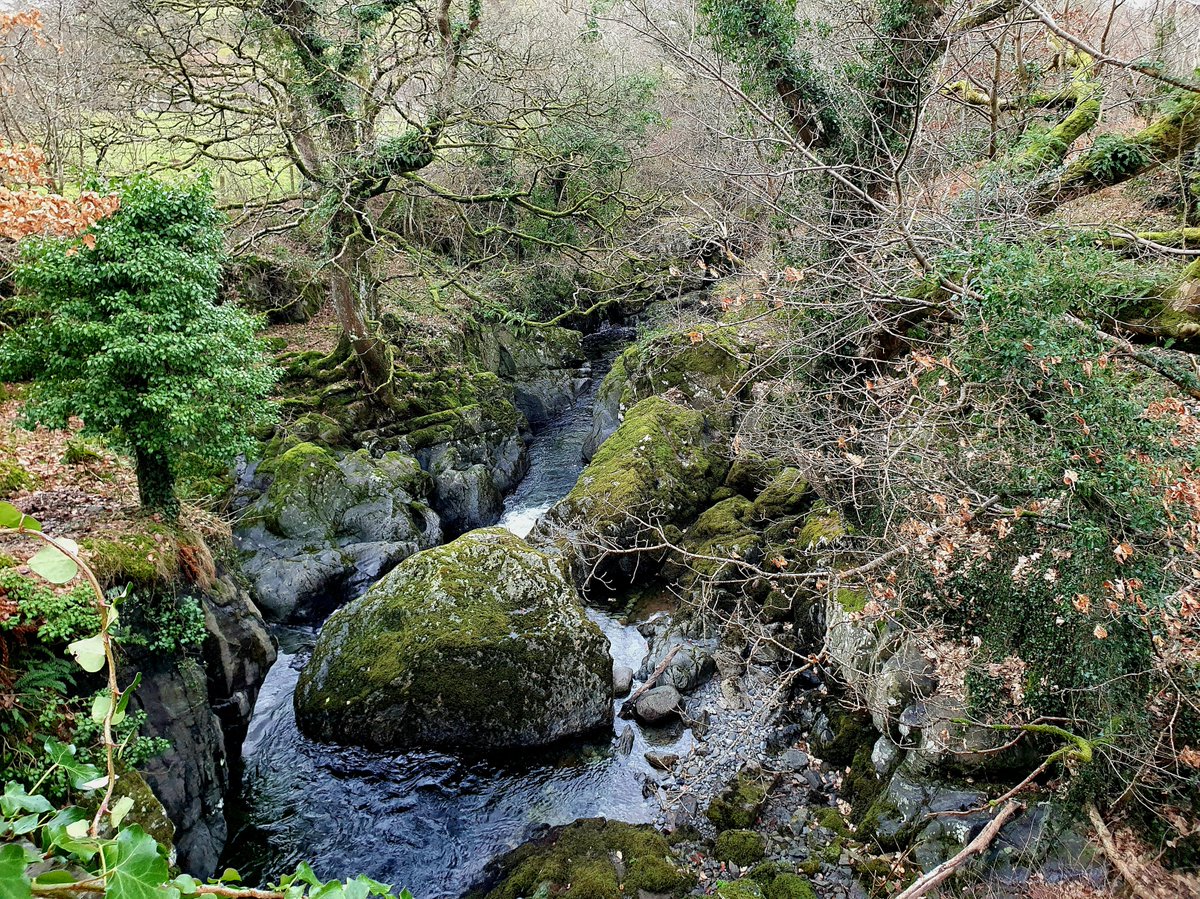 Infinite beauty, infinite variety, infinite charm...

Start #WorldRiversDay2024 listening to the poetic opening of Life in Inland Waters (1928) by Kathleen Carpenter <a href="/AberUni/">Aberystwyth University</a> #Wales #riversofwales 

<a href="/AberDLSAGB/">Aberystwyth University DLS/AGB</a> <a href="/cerysmatthews/">Cerys Matthews</a> <a href="/freshwaterbio/">Freshwater Biological Association (FBA)</a> <a href="/AU_DGES/">Geography and Earth Sciences @ Aber Uni</a> 

on.soundcloud.com/oP1RAWd524yN8d…