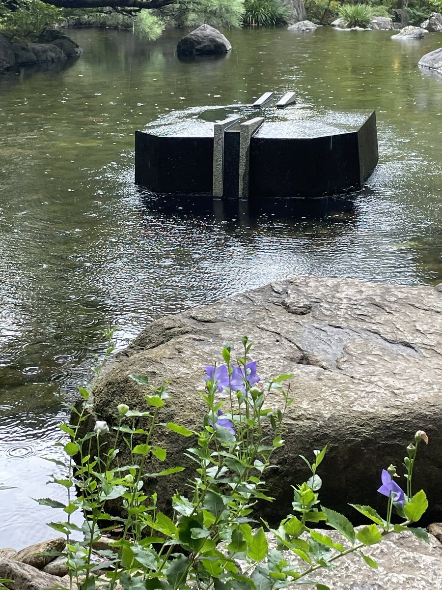 ma0126m's tweet photo. 今日わ寒川神社⛩️に御来光守を頂きに
朝起きたら雨風が台風みたいでえっ😨
降るってわかっていたがそこまで💦
あきらめかけTV見てたら晴れた!
ひょっとして私呼ばれてる?
寒川神社でも日が出て秋分のエネルギーをいっぱい頂きパワーアップです✨✨ https://t.co/QF6wqFyFvw