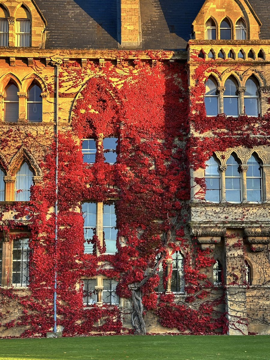 UniofOxford's tweet photo. Today marks the beginning of autumn 🍂 🍁 

#AutumnalEquinox

📷 | @ExeterCollegeOx, @petros_spanou &amp; Luis_Louis_Lewis (Instagram) https://t.co/CUGmk4Zr8V