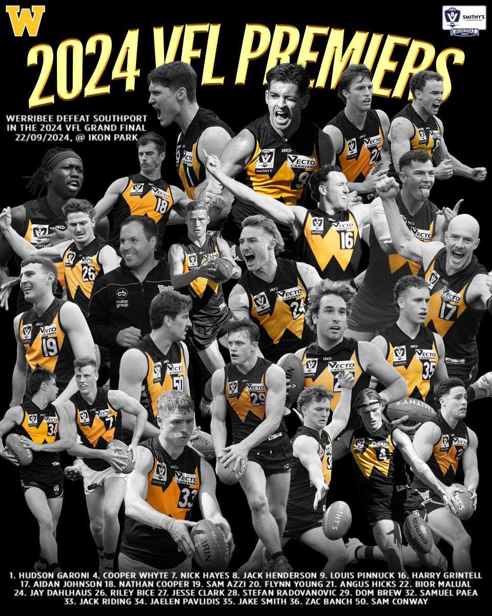 WE ARE THE 2024 VFL PREMIERS!!!