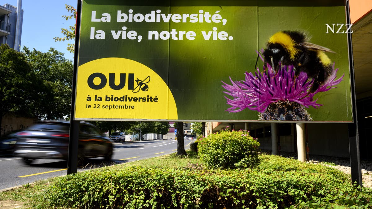 schweiz's tweet image. Die Gewerkschaften und die Bauern stehen vor ihren nächsten grossen Siegen – die Schweiz stimmt über die Renten und die Biodiversität ab dlvr.it/TDXRTl