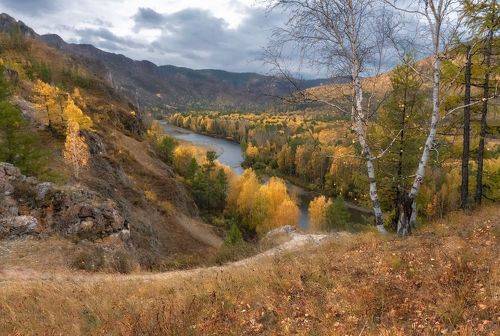 35PHOTO_main's tweet photo. Осенняя тропа предков https://t.co/KPnMsGitEC https://t.co/icgHzVuo8L