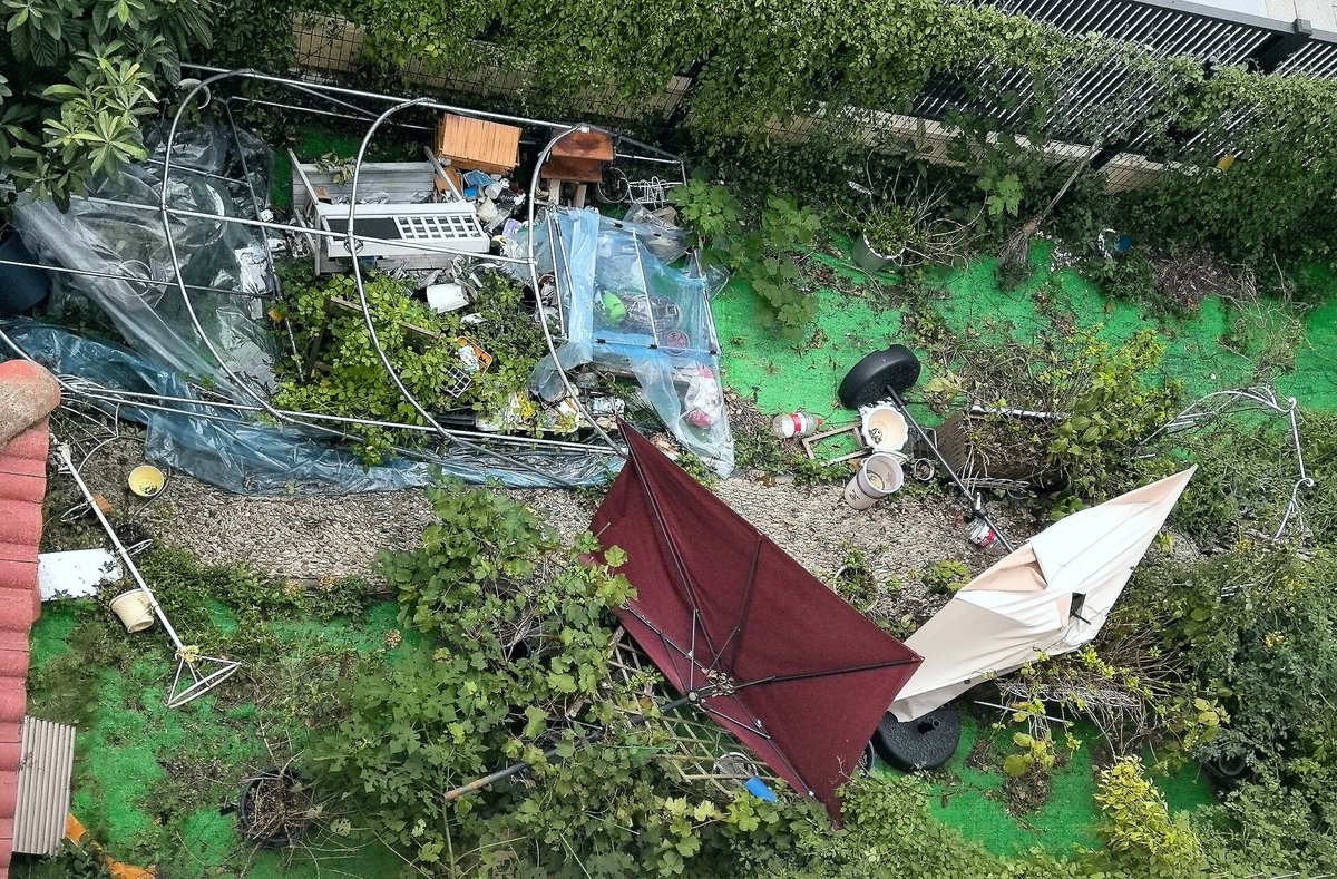 デレステ9周年ライブを2DAY連続観て帰国したら、庭が台風につぶされたことに大ショック😭片付けは大変そうです😵‍💫