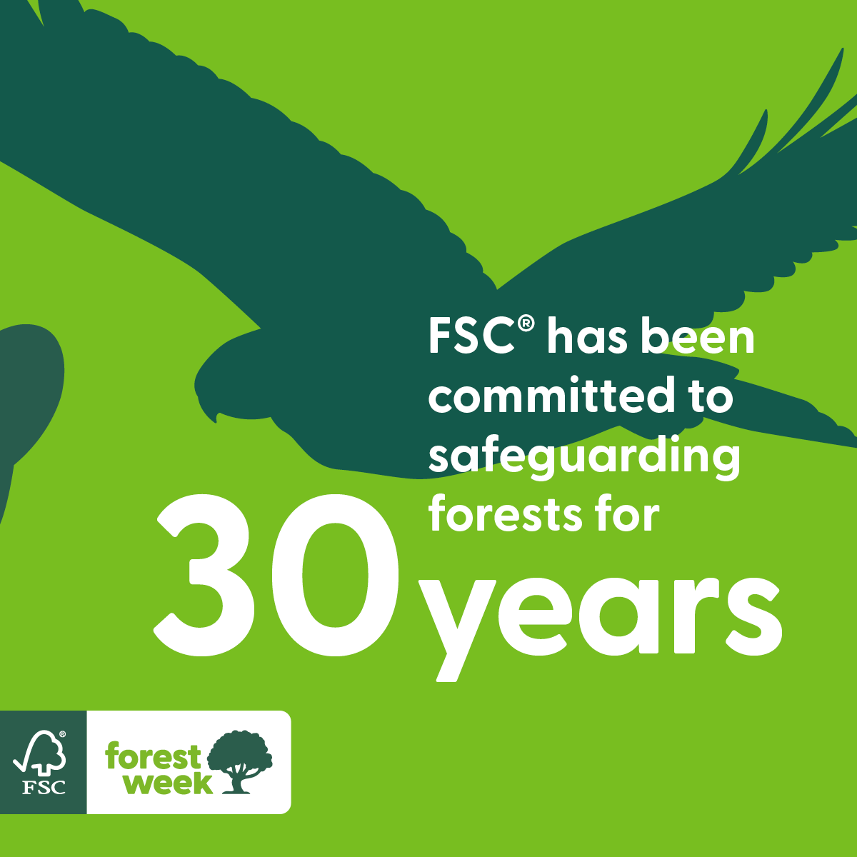 FSC_IC's tweet image. In 30 years, we&apos;ve made significant strides for our planet. 
This #FSCForestWeek, we reflect on amplifying our impact. FSC-certified forests host diverse life forms vital for ecological balance. Join us in creating a sustainable future: fsc.org/forestweek 🌿🌍

FSC® F000100