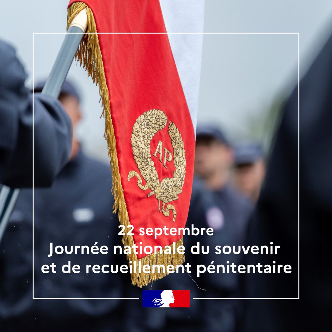 DISP de Lyon tweet media