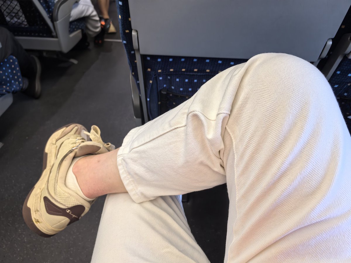 北京的骚逼狗贱种们 准备接驾了