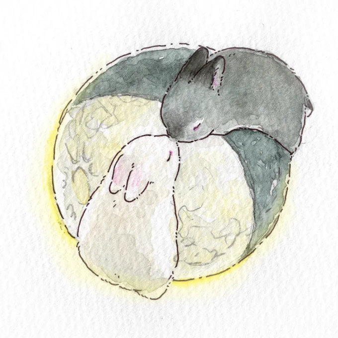 会いにきたよ 