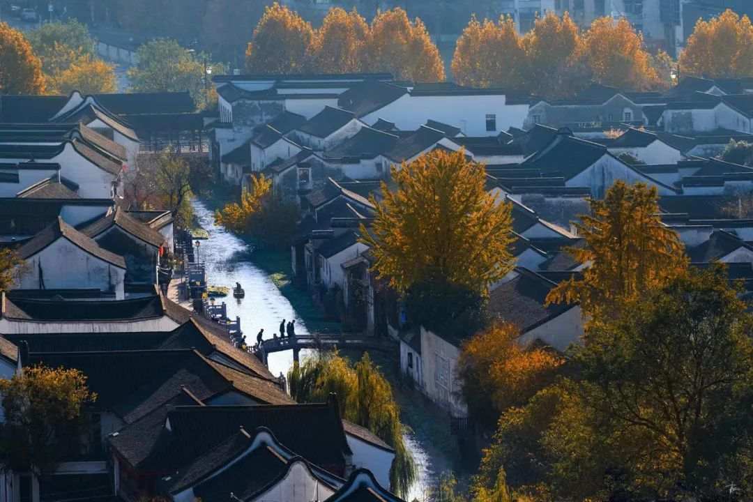 i_wuxing's tweet photo. 🐬Today is #WorldRiversDay! Let's unite in the #ProtectBlue with @InvestNantong. Situated in Taihu Basin, #Wuxing's intricate water connects the north and southeast of China and sustains the ancient Lougang culture and the distinctive allure of Jiangnan's water towns. #LanRuoruo https://t.co/YojUkvQVO5