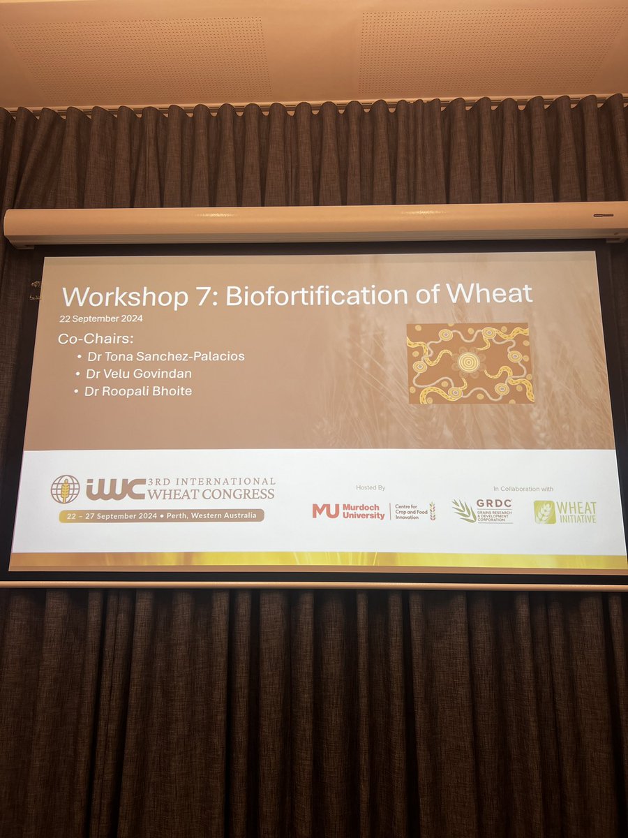 BhoiteRoopali's tweet photo. A great pleasure to co-host and present at Biofortification workshop 
#IWC2024 

@DPIRDbroadacre @GRDCWest @IOA_UWA https://t.co/SzLtkQTDud